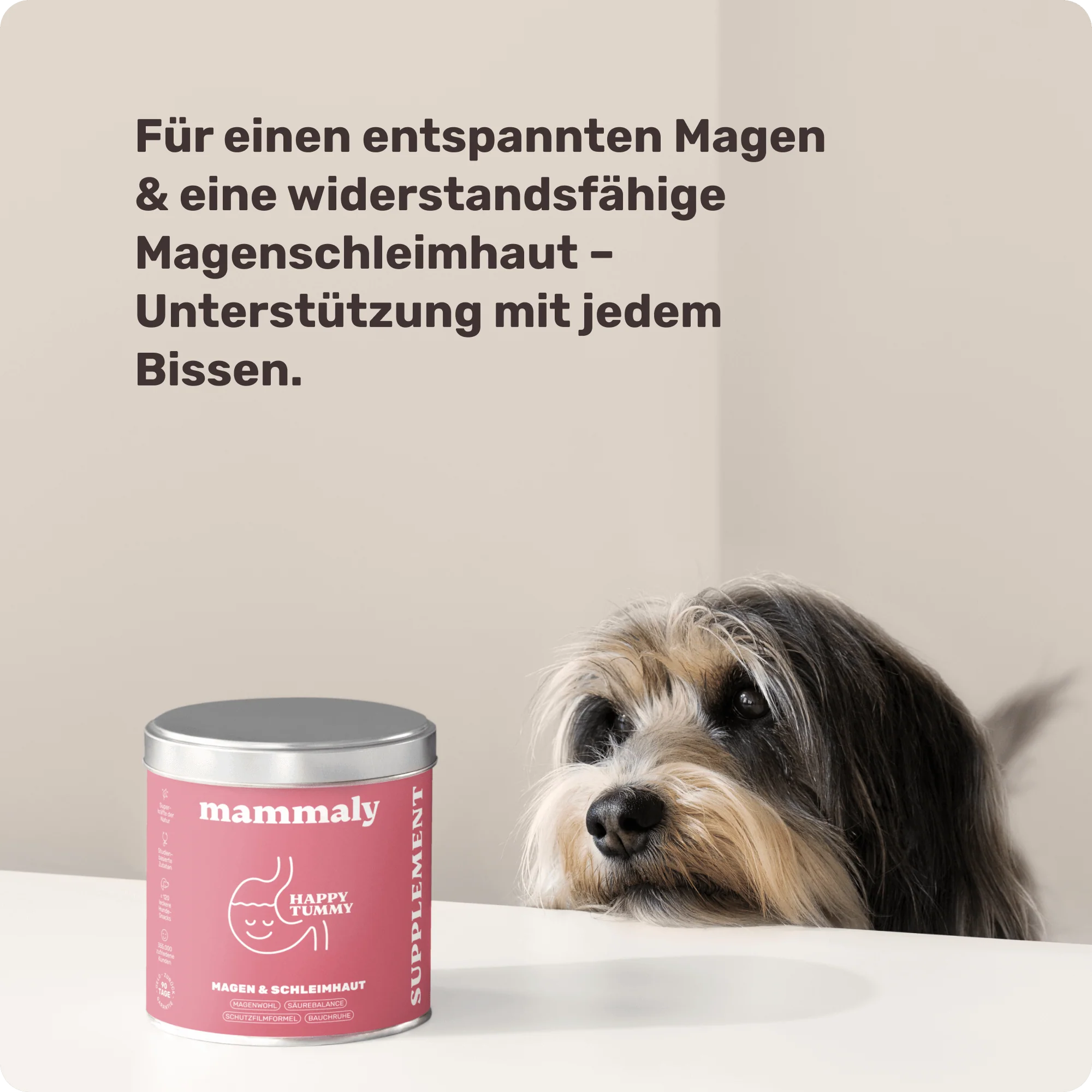 Produktbild 6
